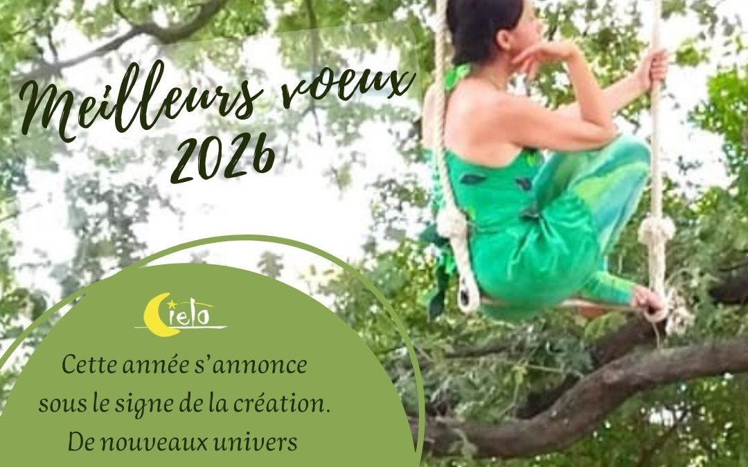 Meilleurs vœux pour 2026 !